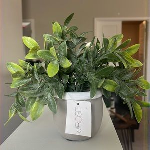 powder tea leaf in grey with upper white dip cement pot